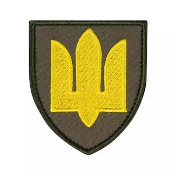 Шеврон-нашивка &laquo;Сухопутні війська ЗСУ&raquo;, 8&times;7 см, Olive 237 фото